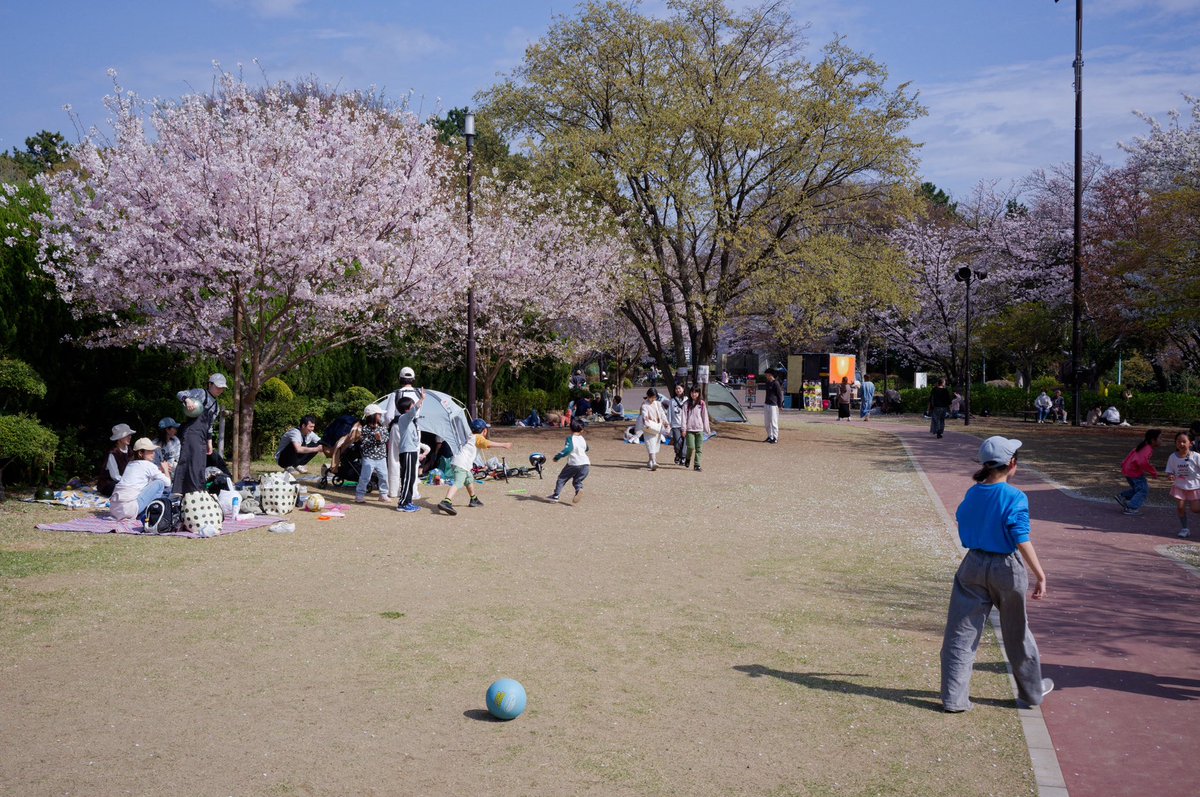 Decheeee tweet media