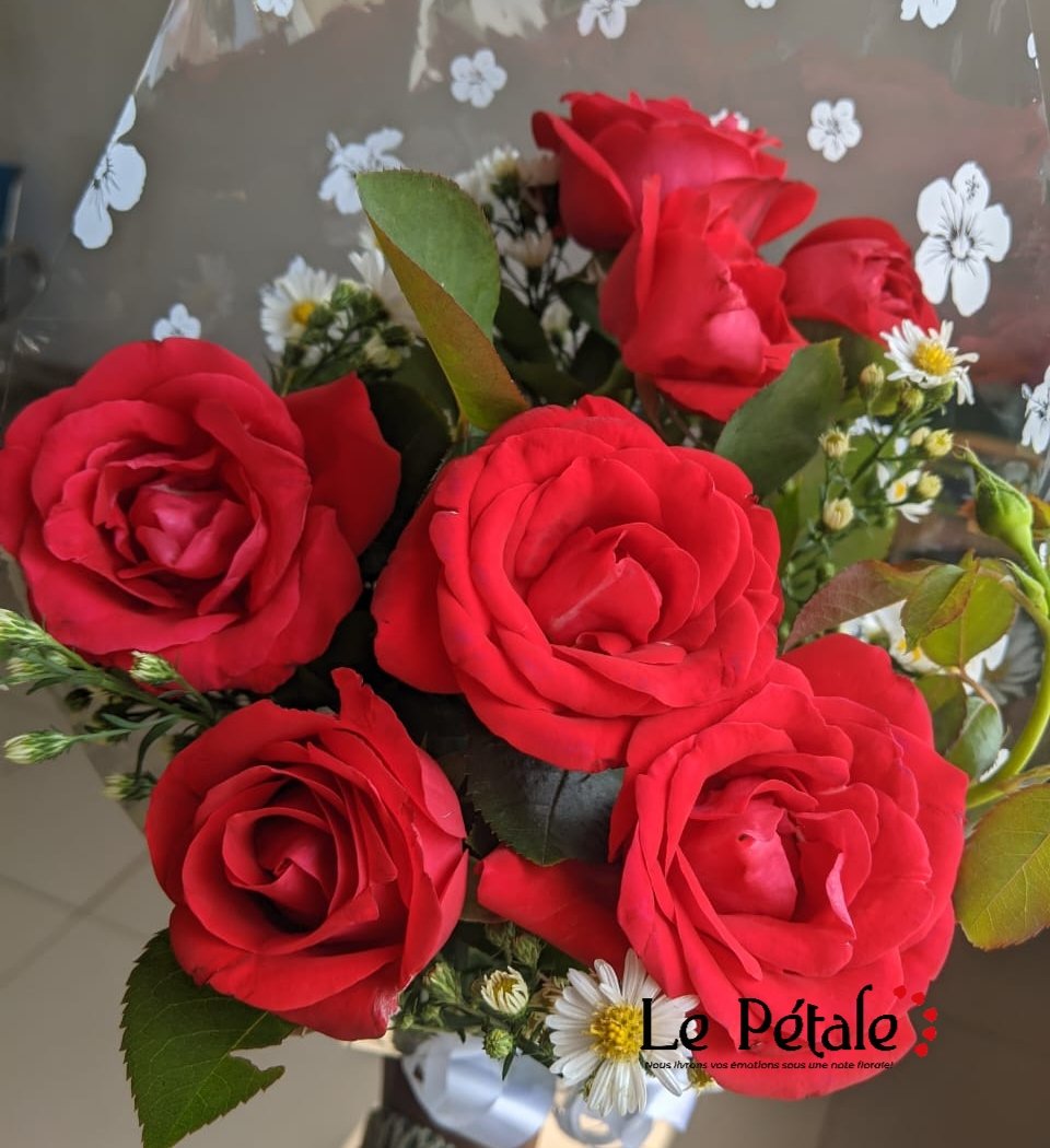 Le pétale🌹 tweet media