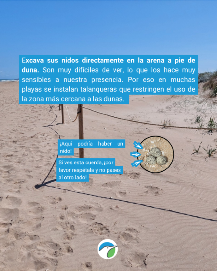 SEO/BirdLife tweet media