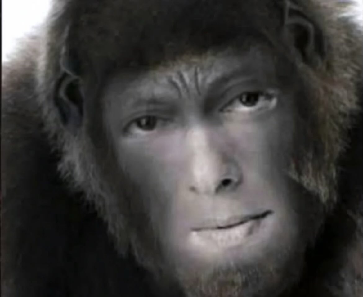 ColeWorld tweet media