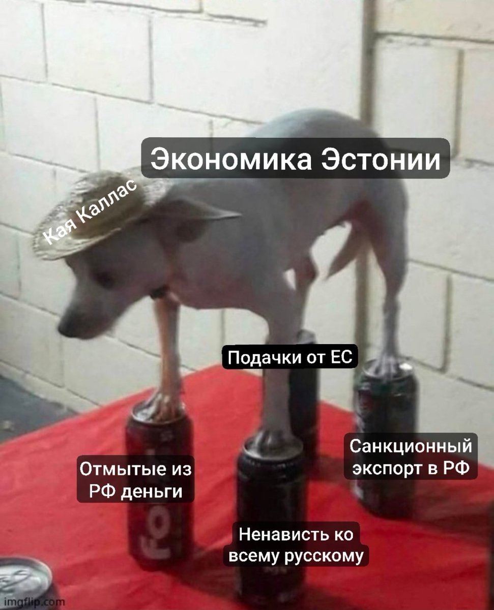 Илья, он же Elias tweet media