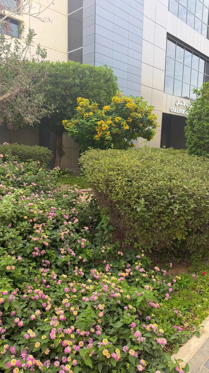 The SuperNova tweet media