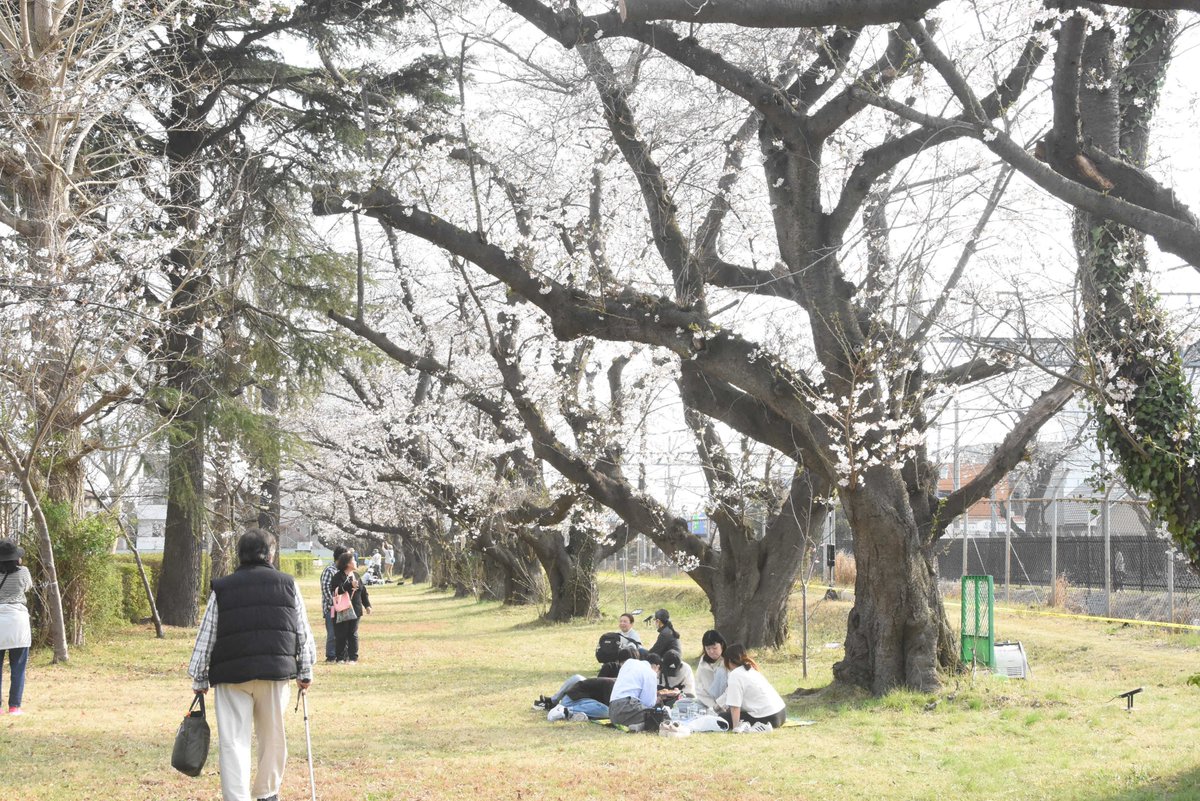 陸上自衛隊　松戸駐屯地【公式】 tweet media