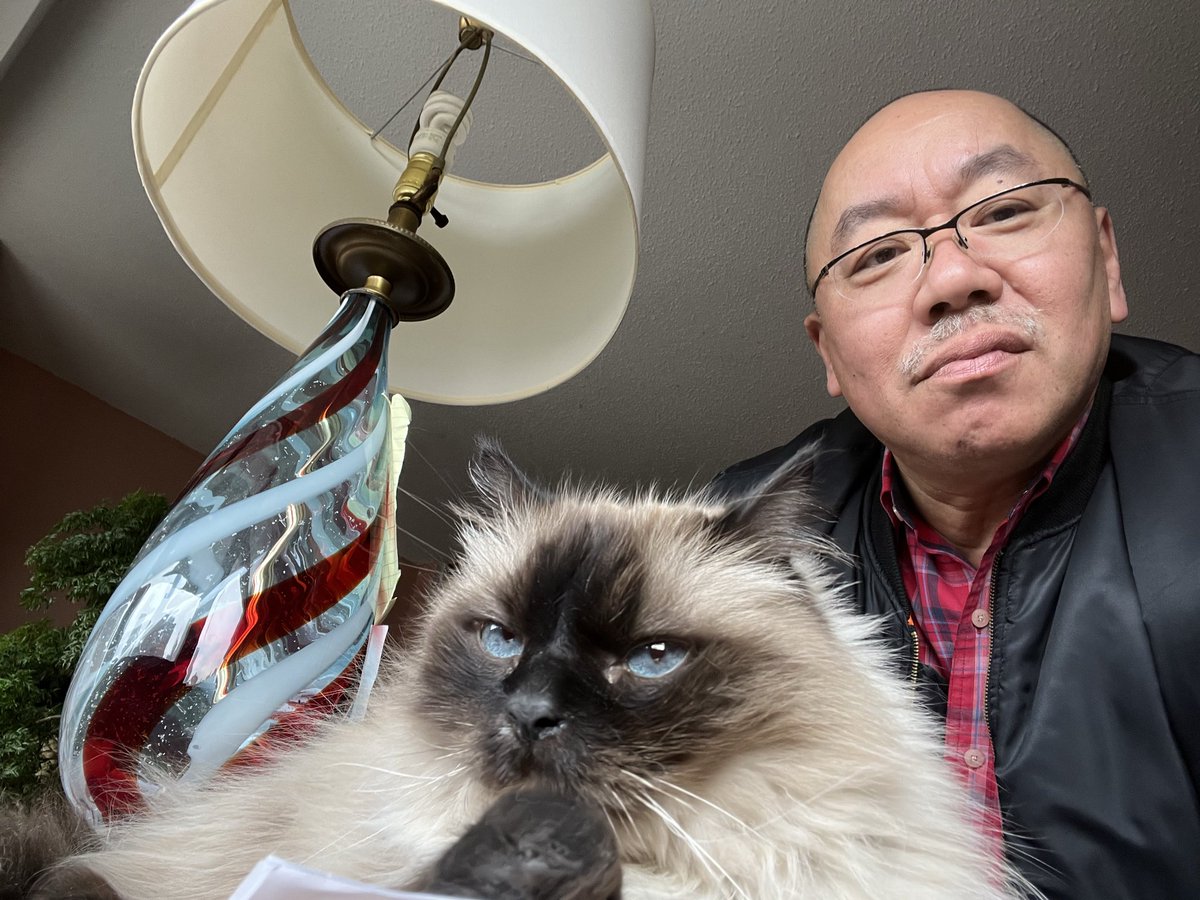 Max Mikami tweet media