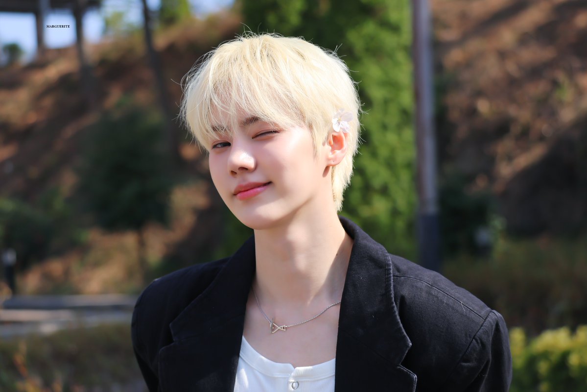 MARGUERITE tweet media