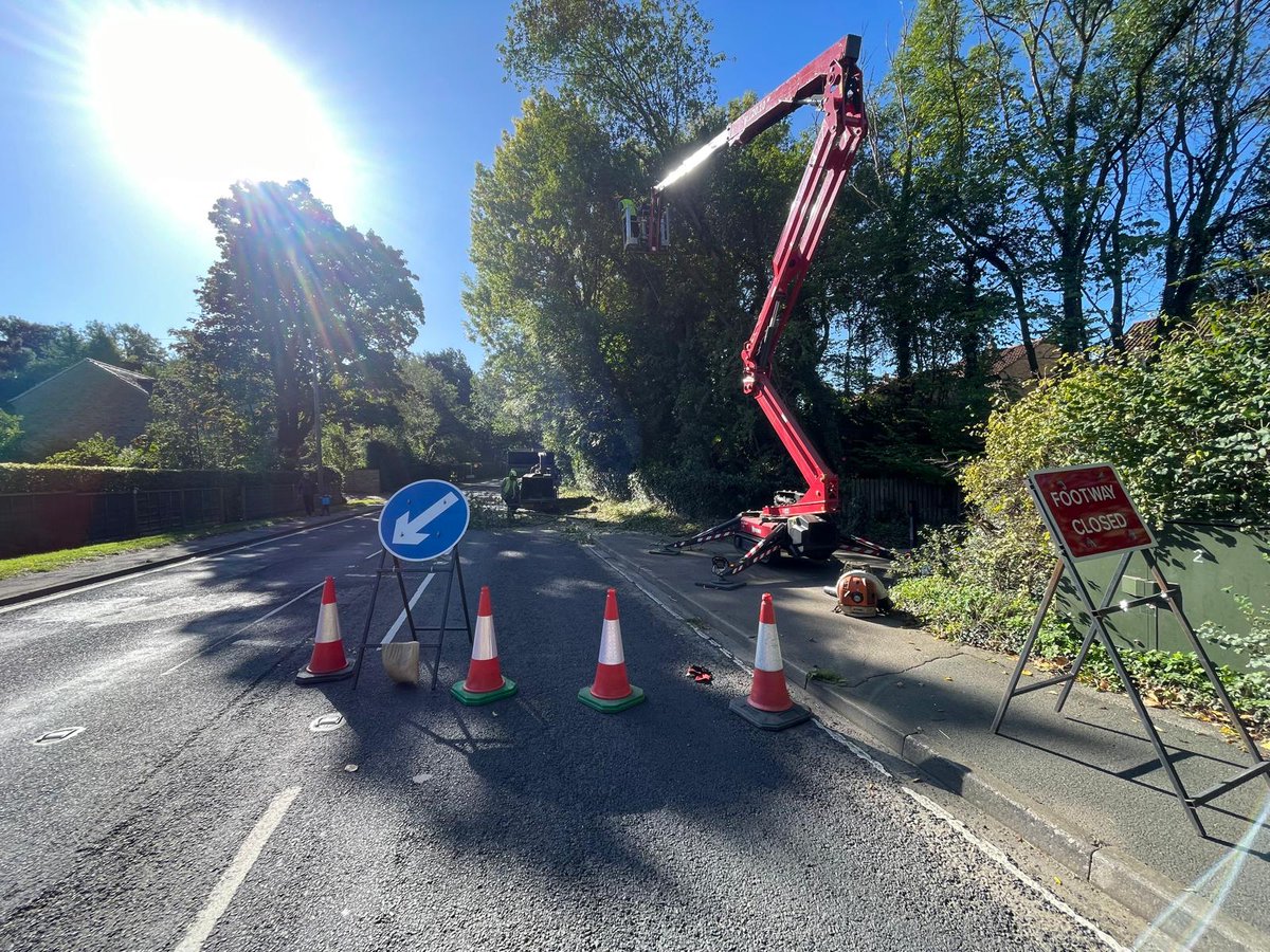 Bardsey Tree Services tweet media