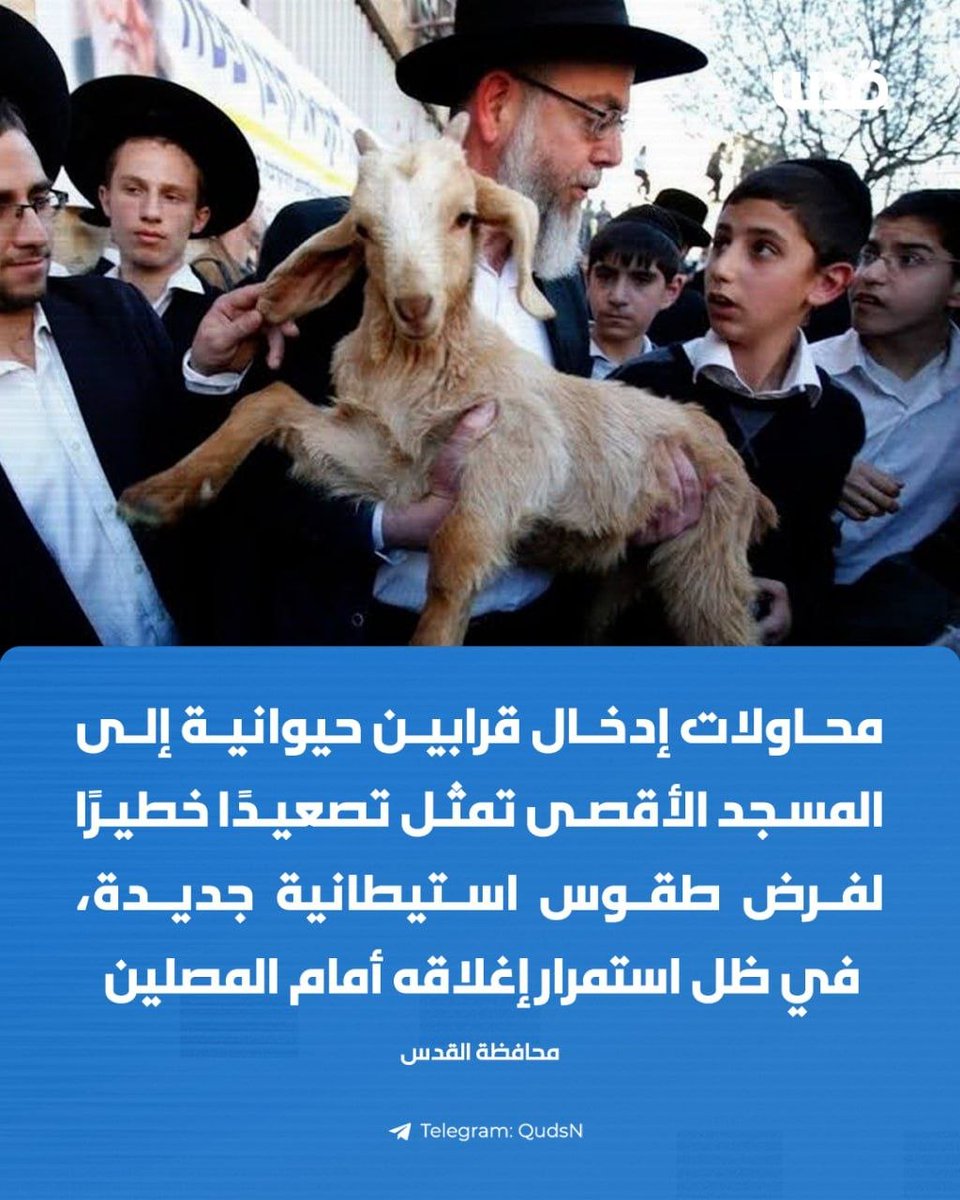 شبكة قدس الإخبارية tweet media