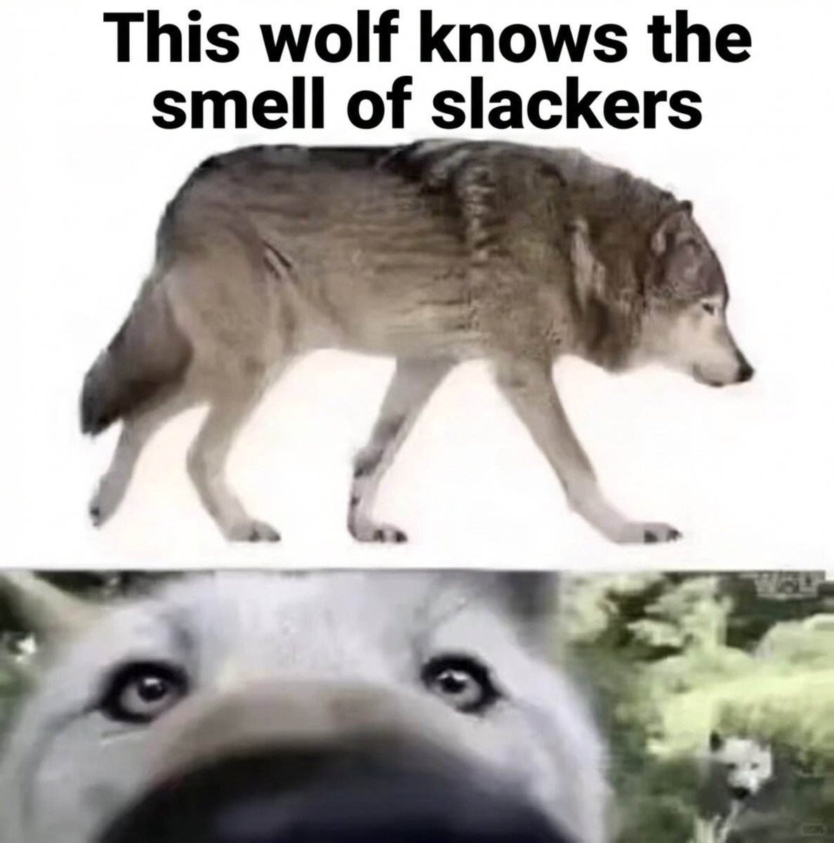 Binance Intern tweet media