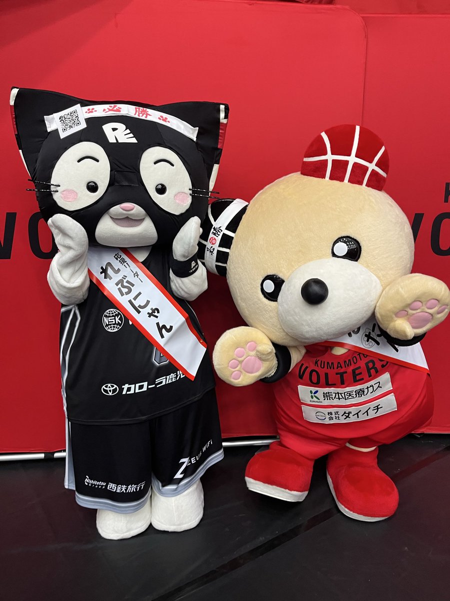 れぶにゃん(鹿児島レブナイズ)【公式】 tweet media