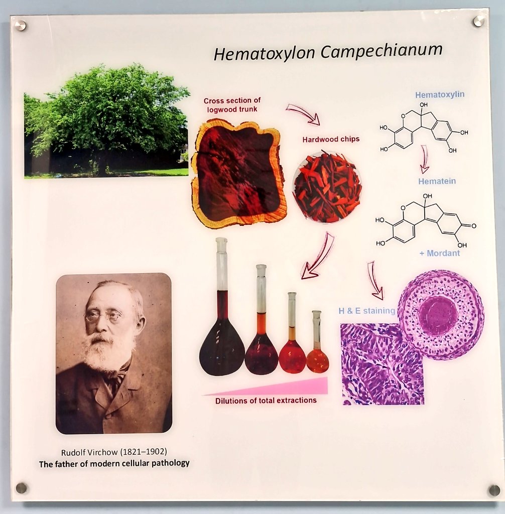 Dr Kamlesh Darji tweet media