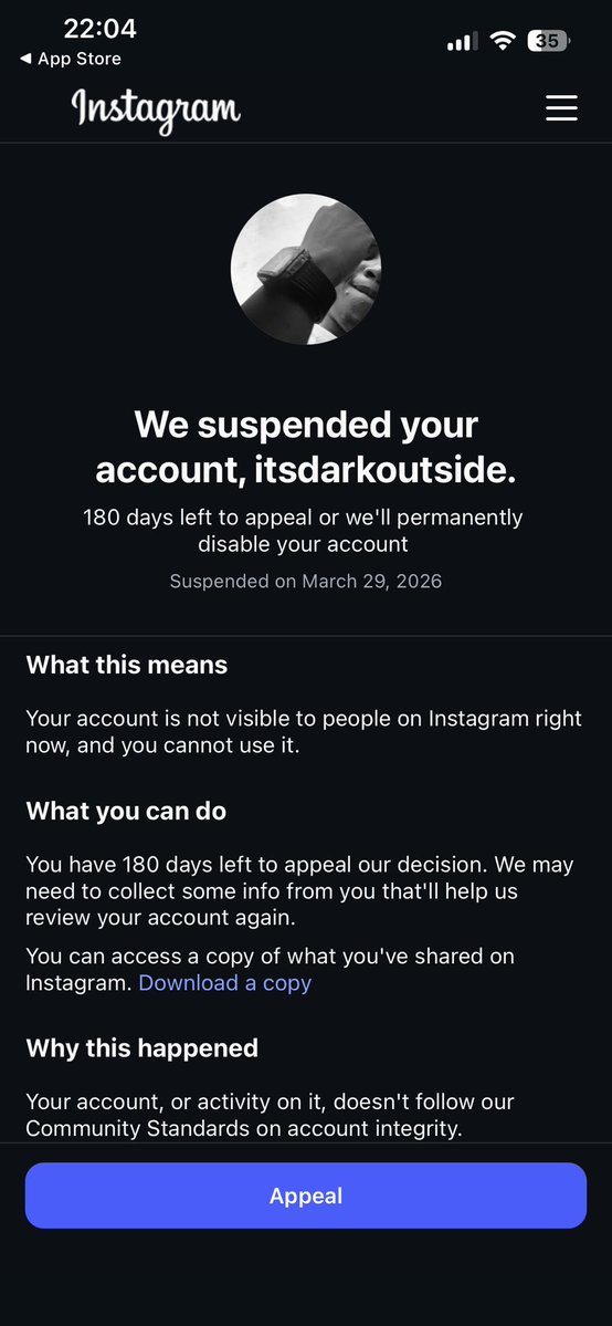 p4p!🪅 tweet media