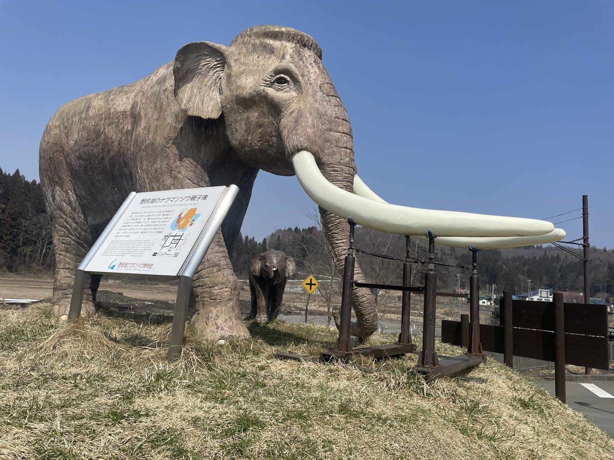 めぐめぐ tweet media