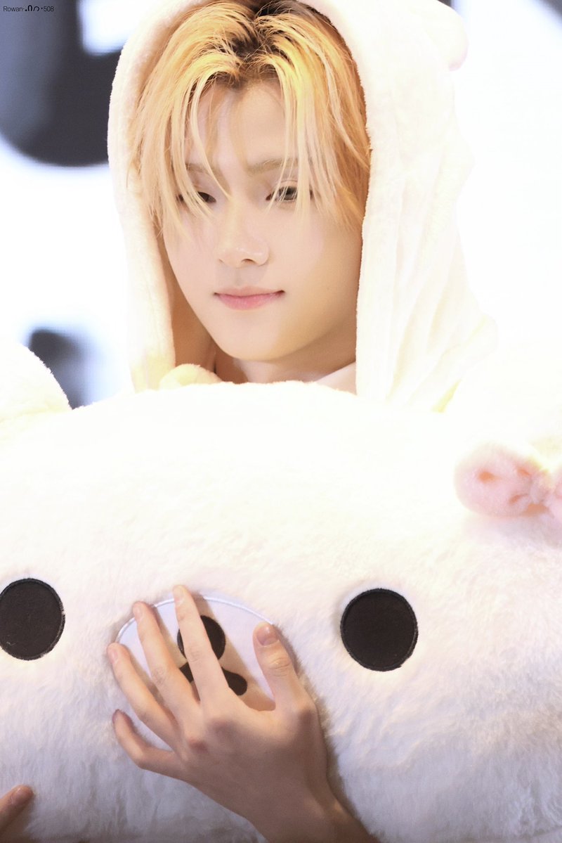 Rowan508 tweet media