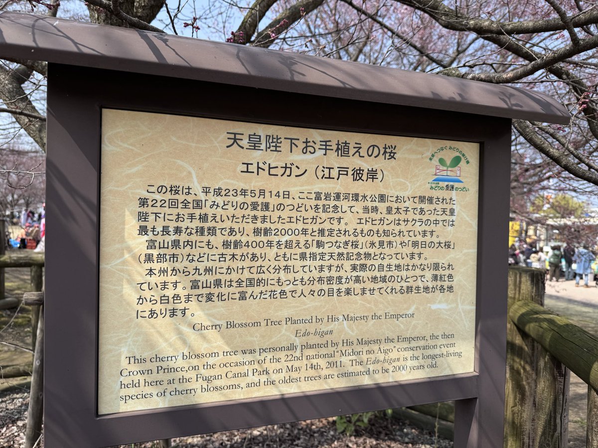 めそChannel🇩🇪🍺 tweet media