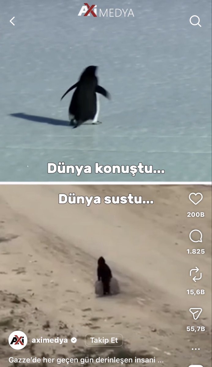 bthnygtt's tweet photo. O çocuğun ahı tutar… https://t.co/8sgY5v2Oax