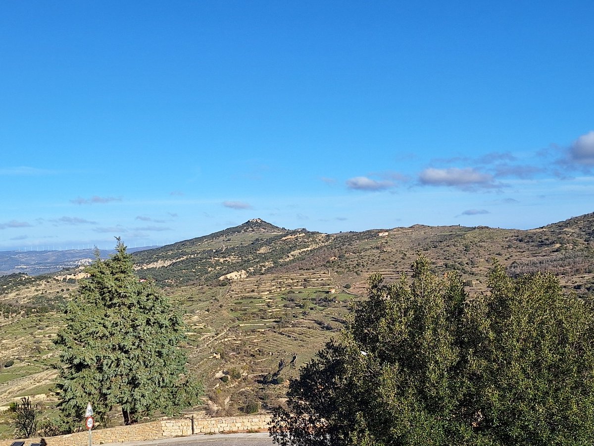 Juan Amela tweet media