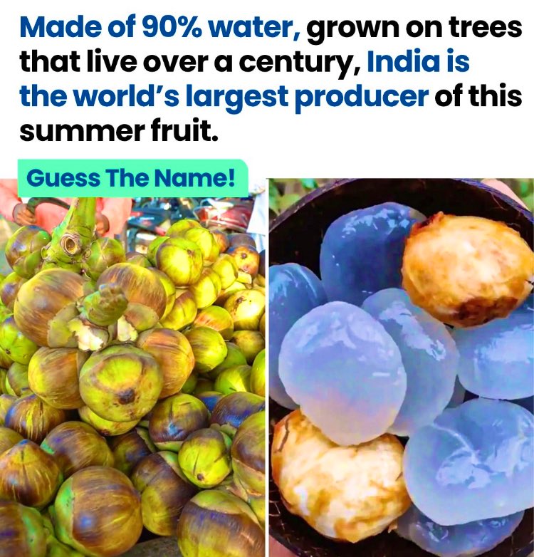 Gargi # ayurveda tweet media