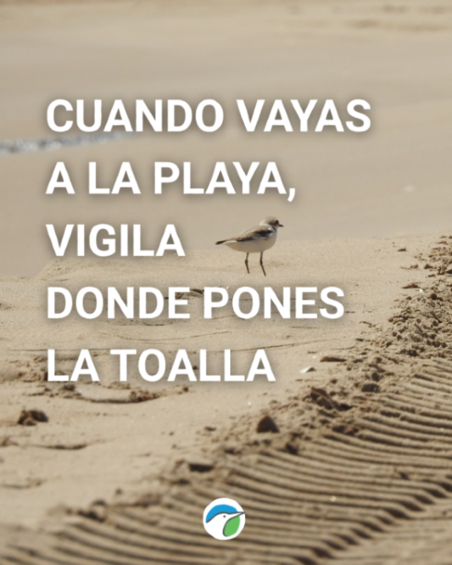 SEO/BirdLife tweet media