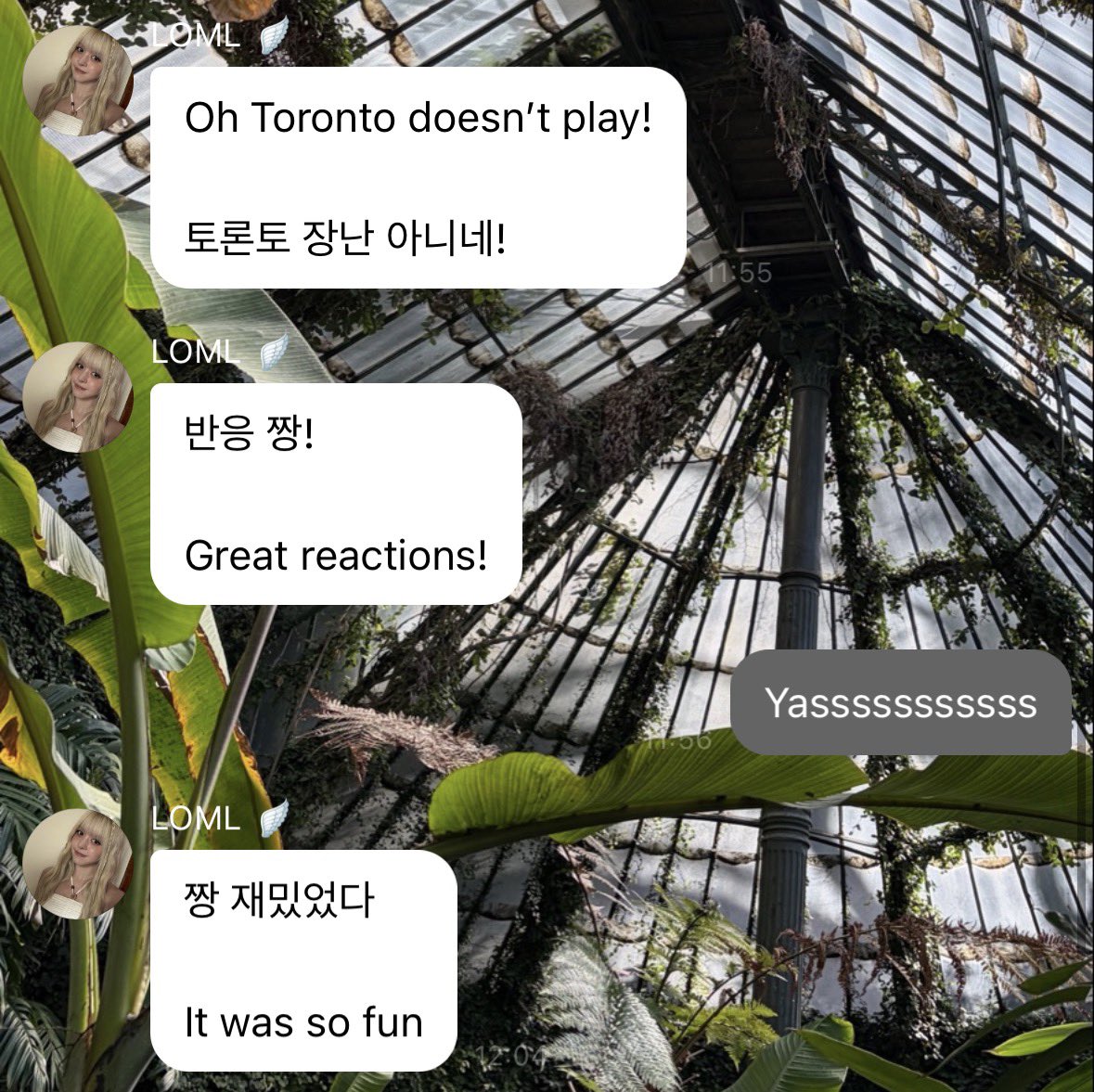 haely fan #3 tweet media