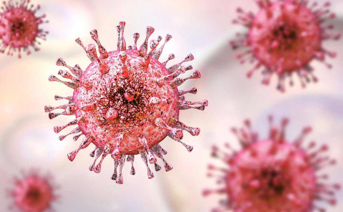 Celebs Arabic tweet media