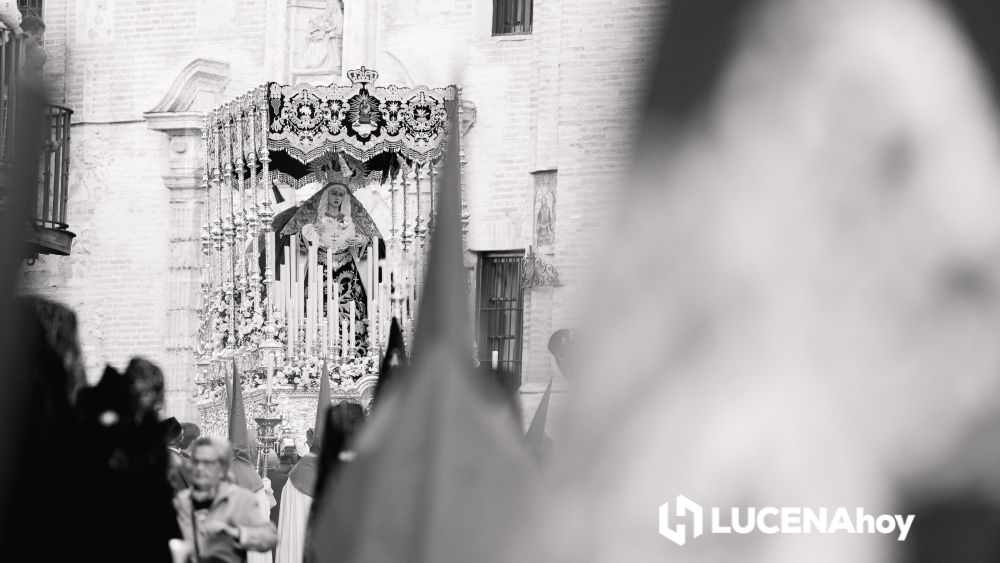 GALERÍA:  DOMINGO DE RAMOS 2026 / Las imágenes de la procesión de la Cofradía de la Oración en el Huerto. Más fotos en el enlace: lucenahoy.com/galeria-doming…