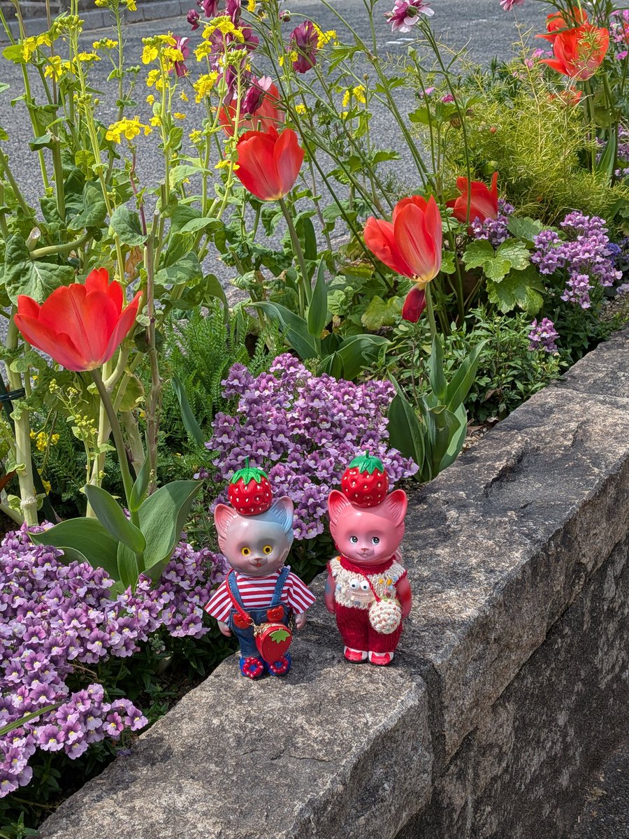 いつみ tweet media