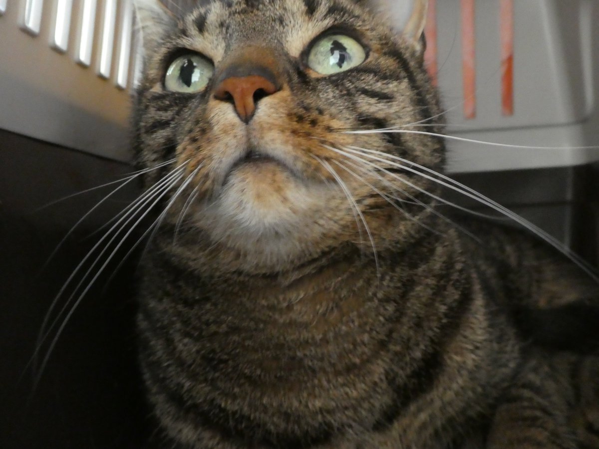 Beat Stocker tweet media