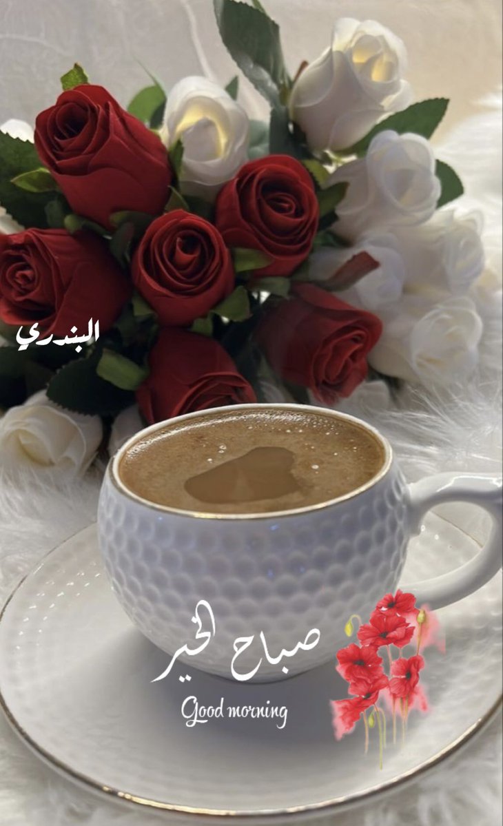 البندري التميمي🤍 tweet media