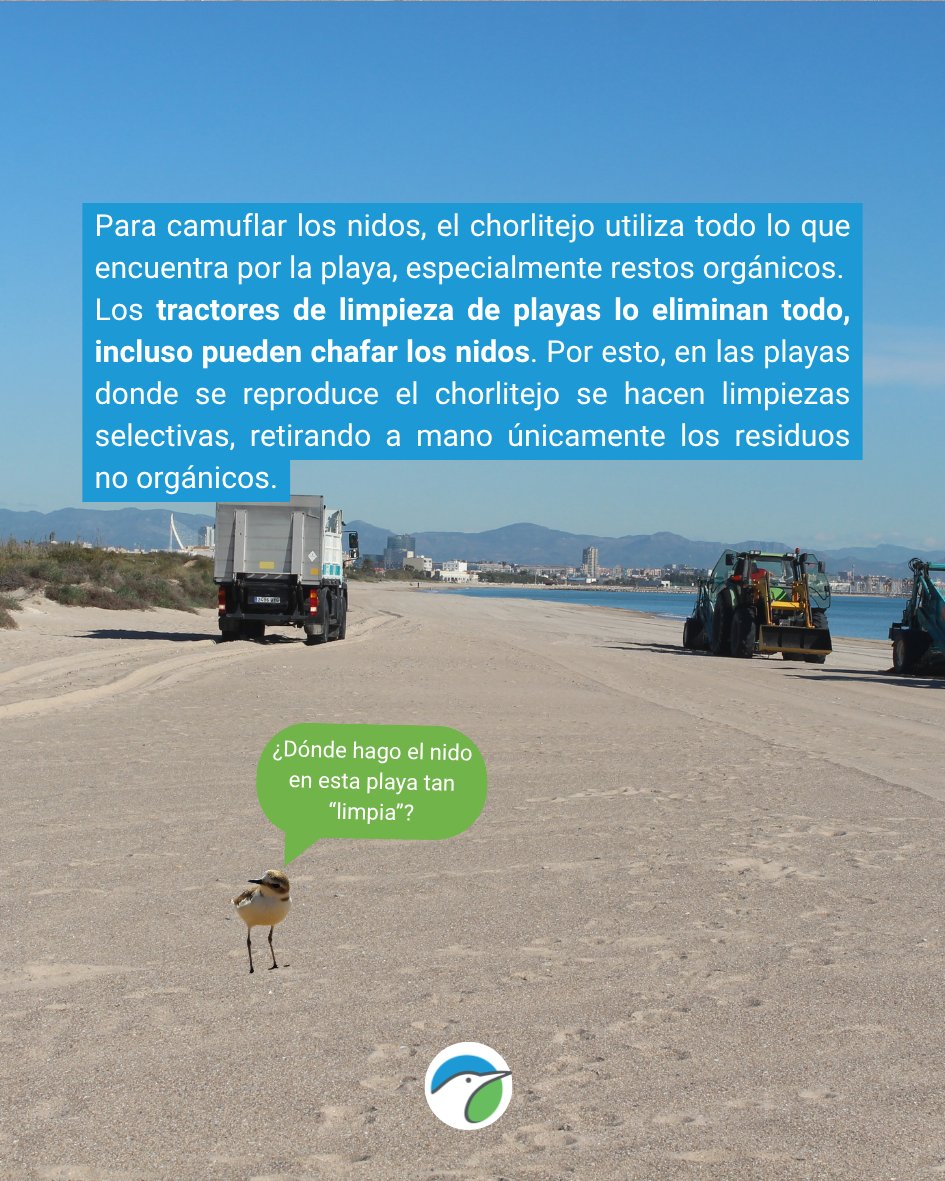 SEO/BirdLife tweet media