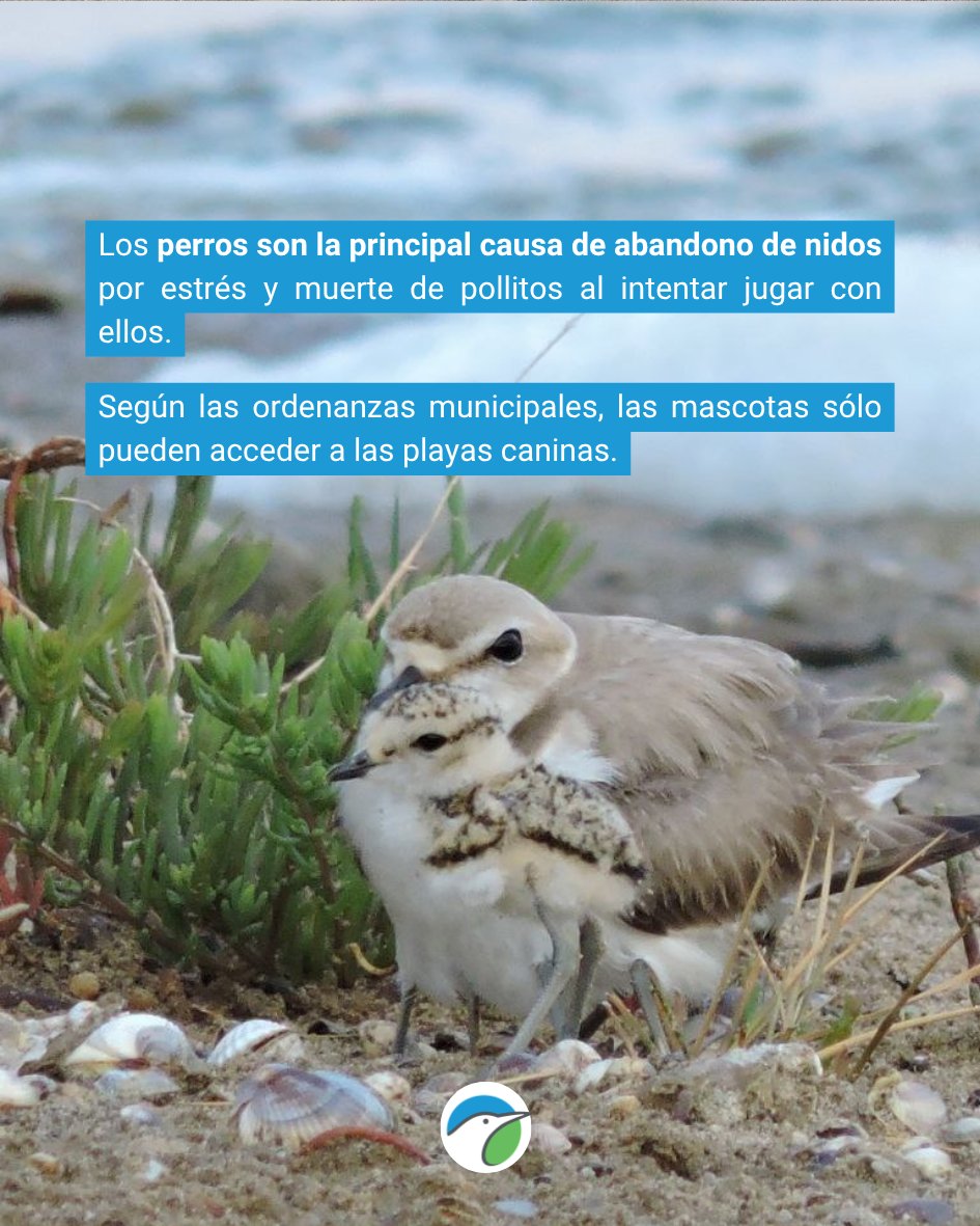 SEO/BirdLife tweet media