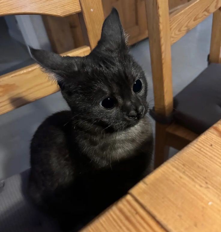 Tania👩‍⚕️ tweet media