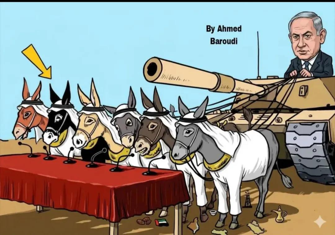 كرار الوائلي tweet media