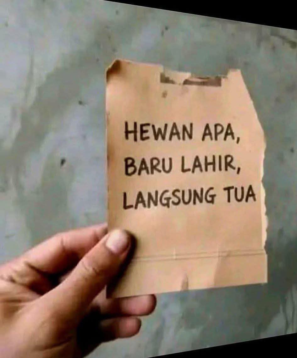 Recehin Aja tweet media