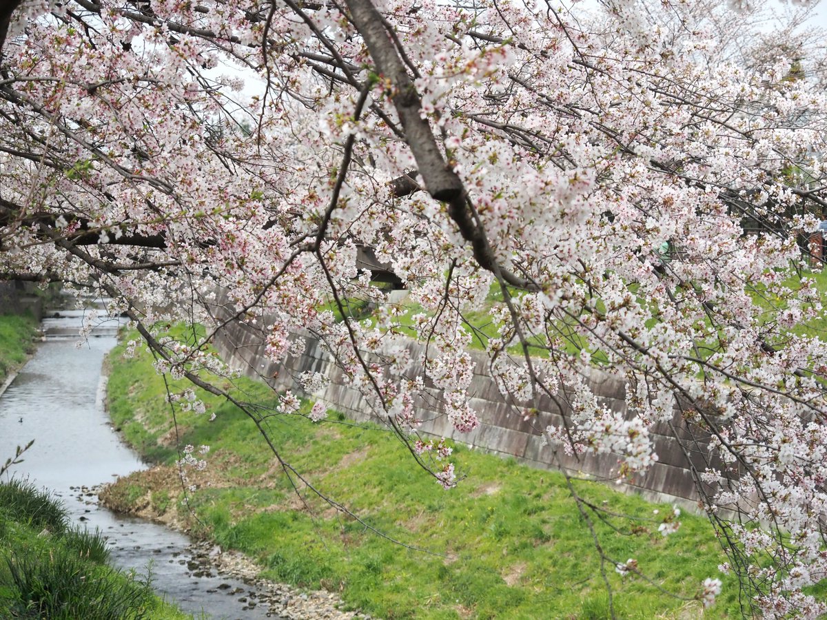 石像の画家Jun tweet media