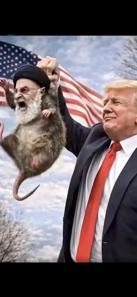 Truth Enforcer tweet media