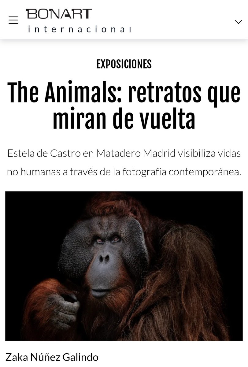 mataderomadrid tweet media