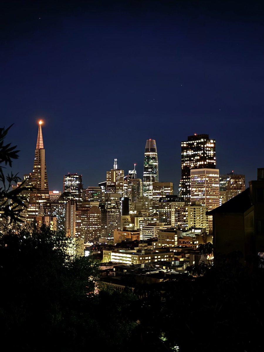 Marijana Pavlinić tweet media