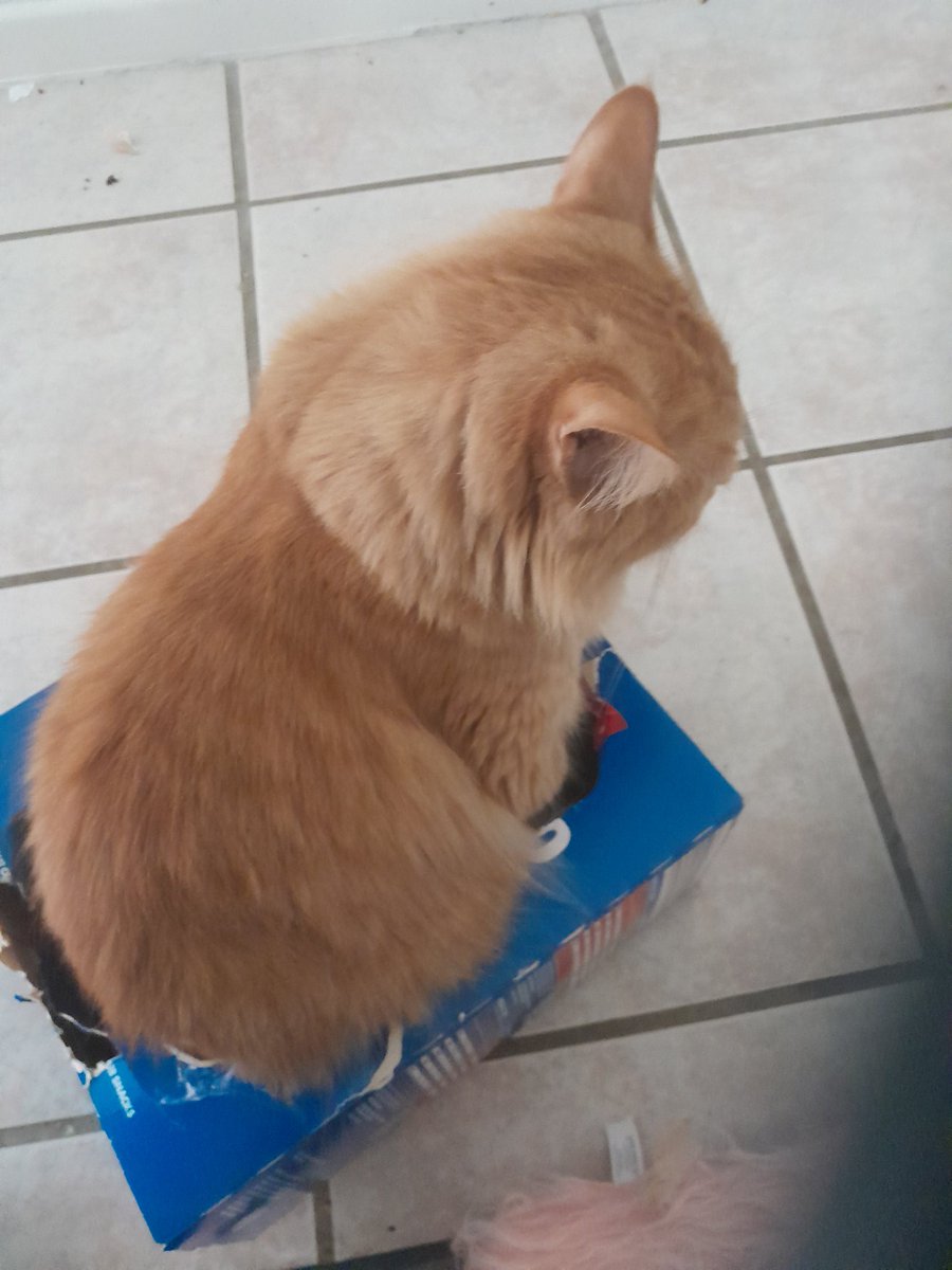 Jocelyne ♈️ tweet media