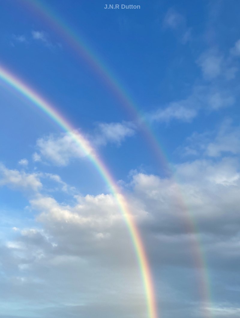 J.N.R Dutton tweet media