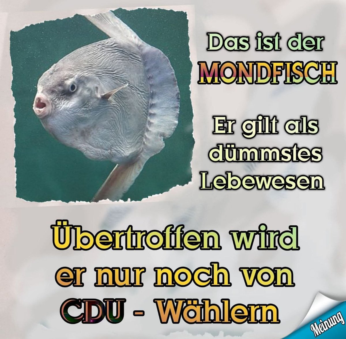 😁Böslümmel😉 tweet media