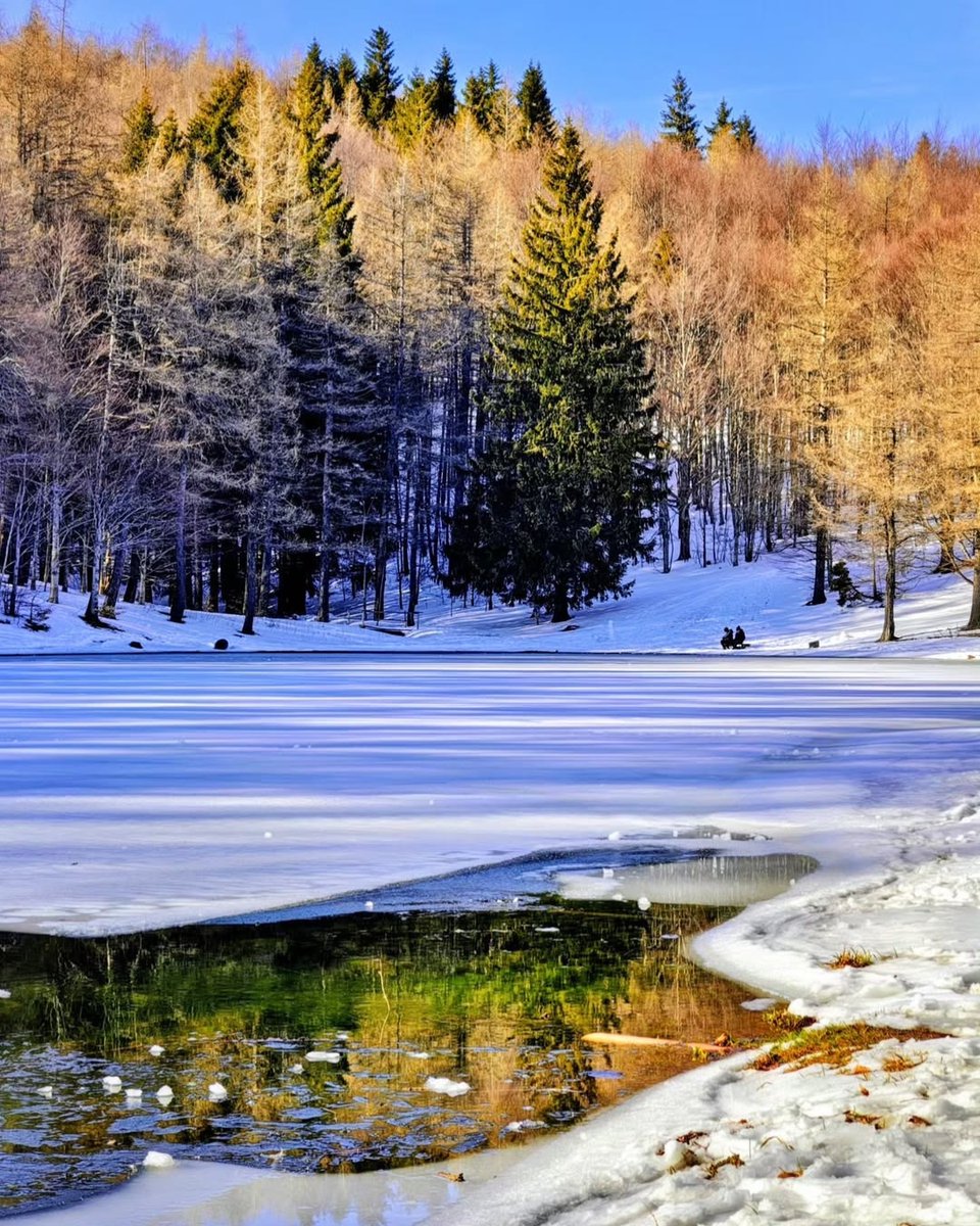 Modena&Dintorni tweet media