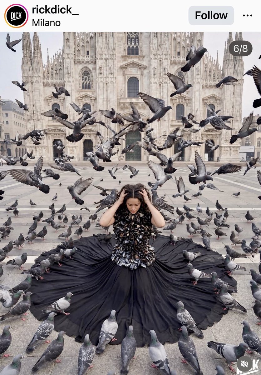 PetitPois Wasabi tweet media