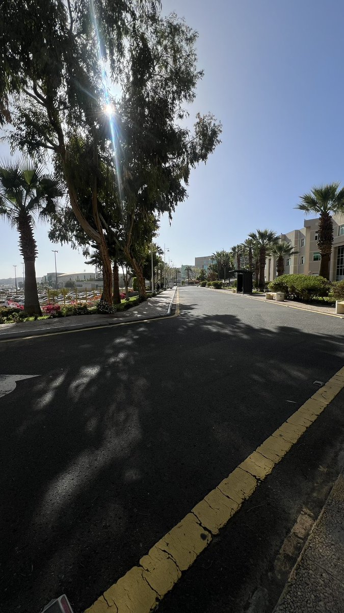 Muzon Albeshri tweet media