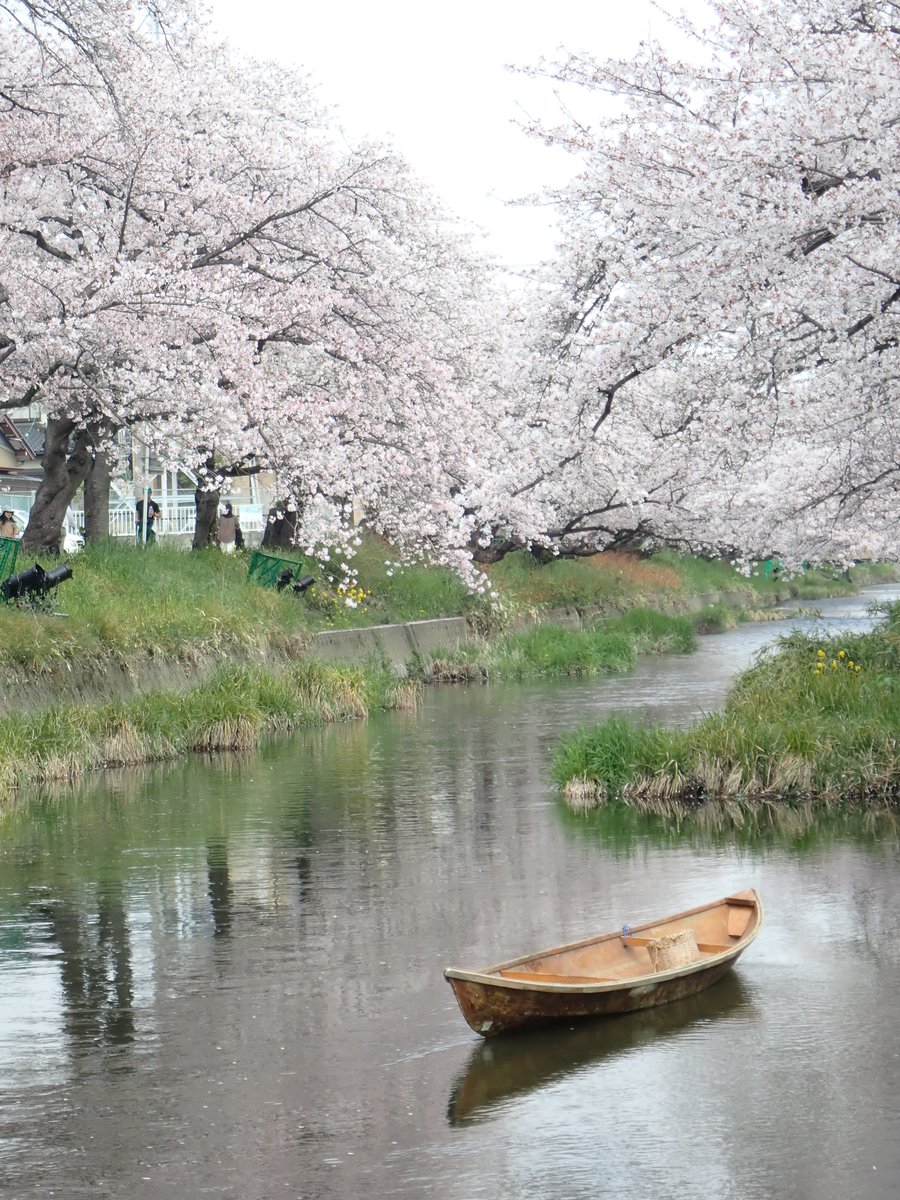 放浪癖 tweet media