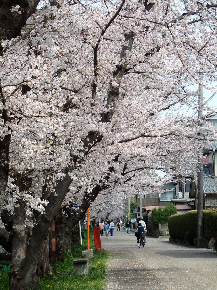 放浪癖 tweet media