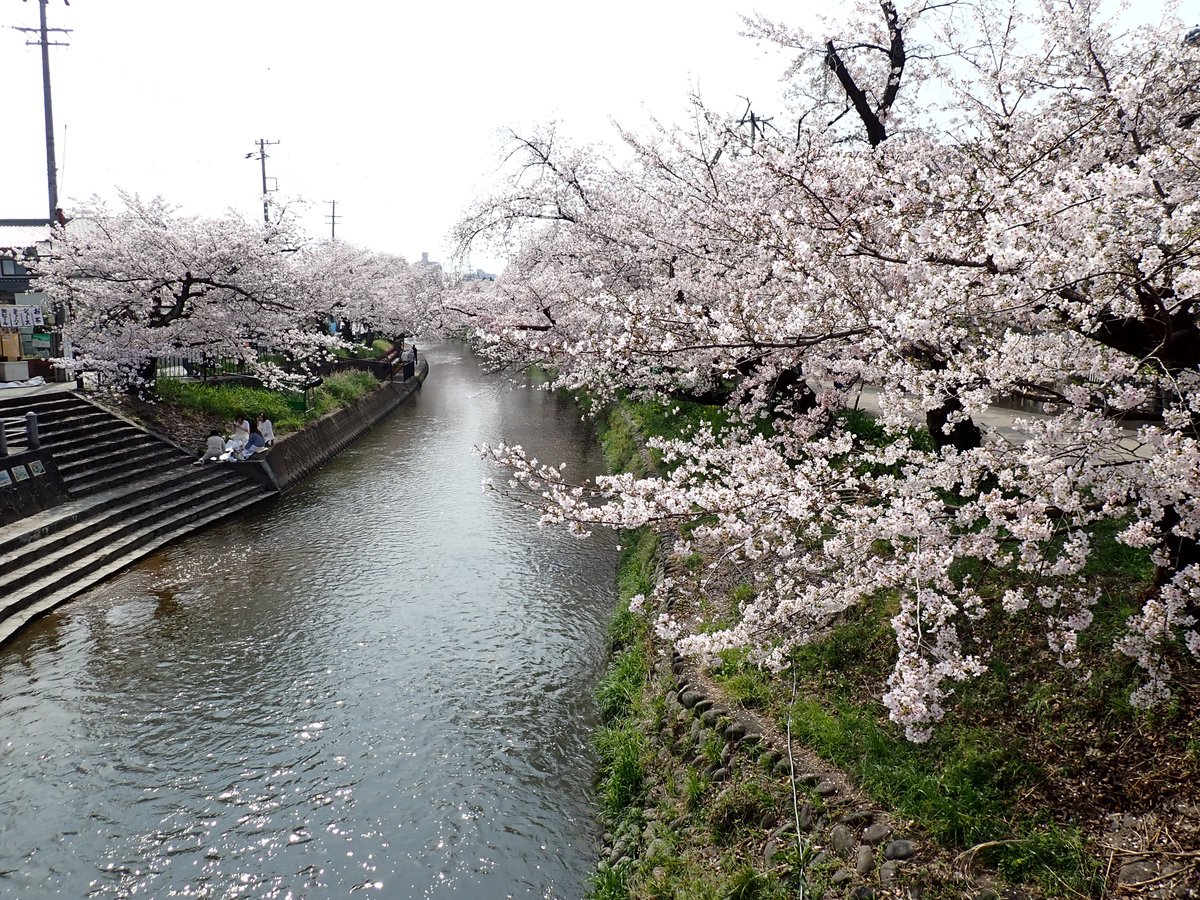 放浪癖 tweet media