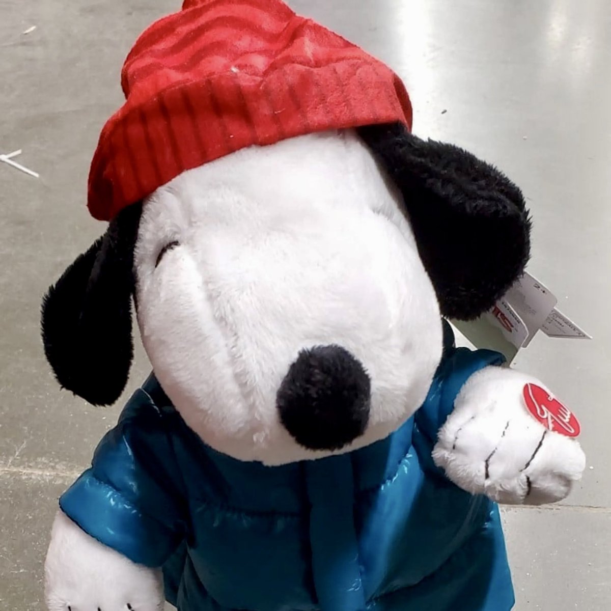 peter as puppies 🐶! tweet media