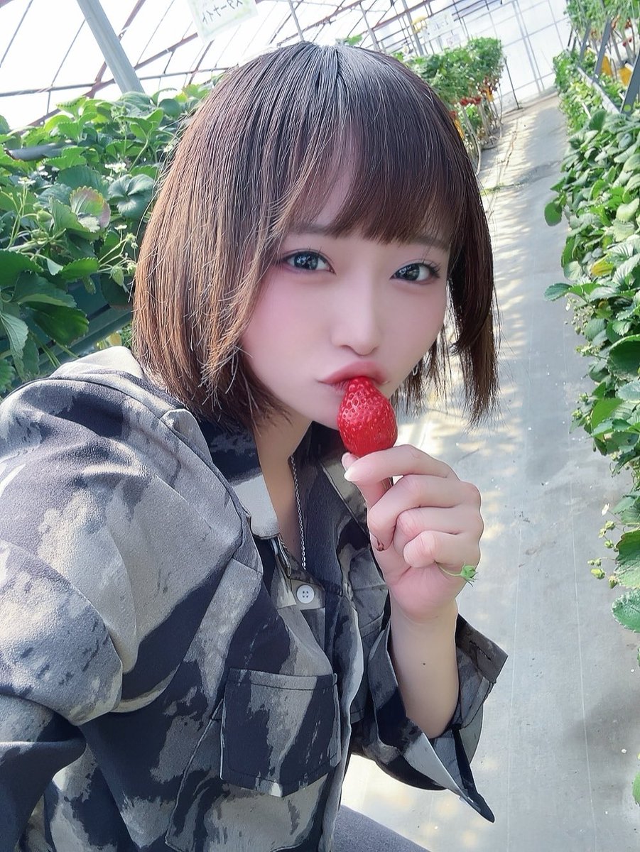 マヨイ・ポ・メラニアン tweet media