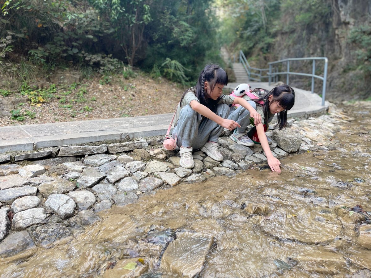 Cheri Deardorff tweet media