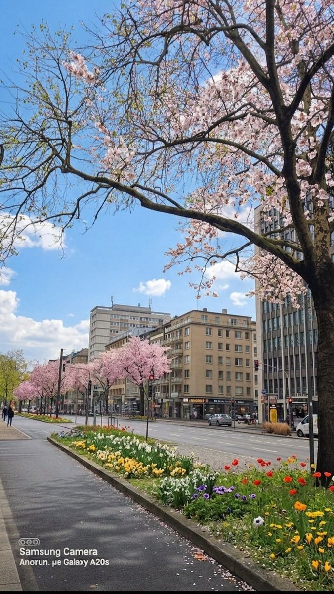 Simply Matina 🧸🌿🗝️ tweet media